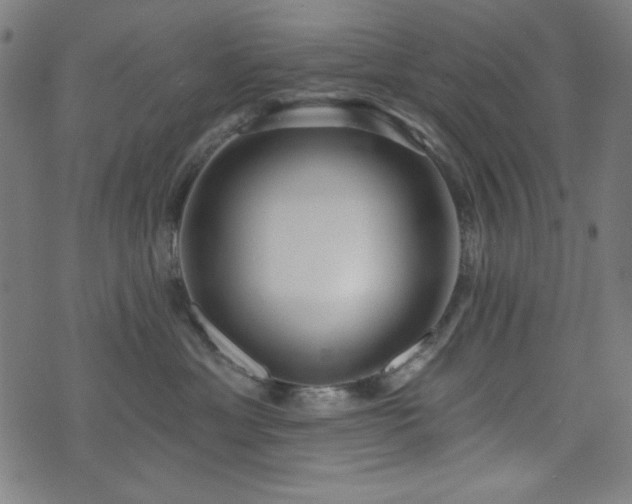 X0000073520429200607311229
