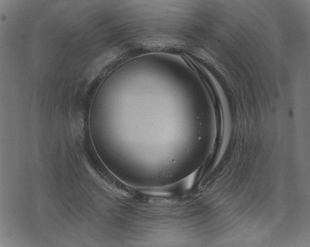 X0000073520448200607311228
