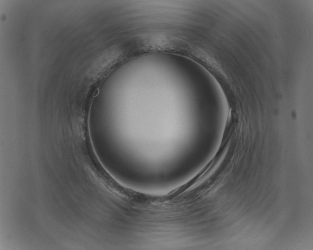 X0000073520450200607311228
