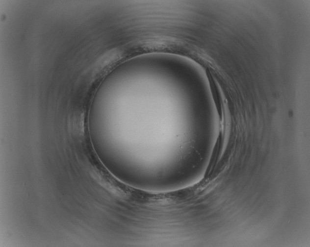 X0000073520454200607311228