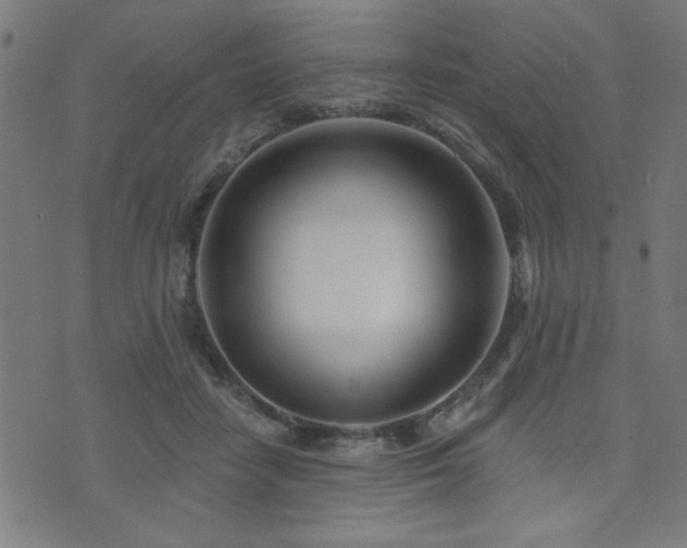 X0000073520458200607311228