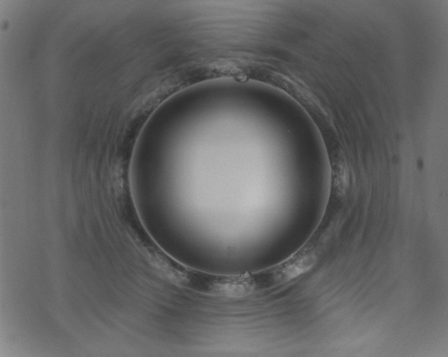 X0000073520466200607311228