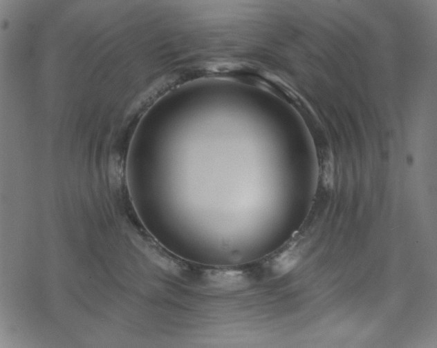 X0000073520476200607311228