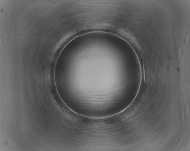 X0000073520483200607311228