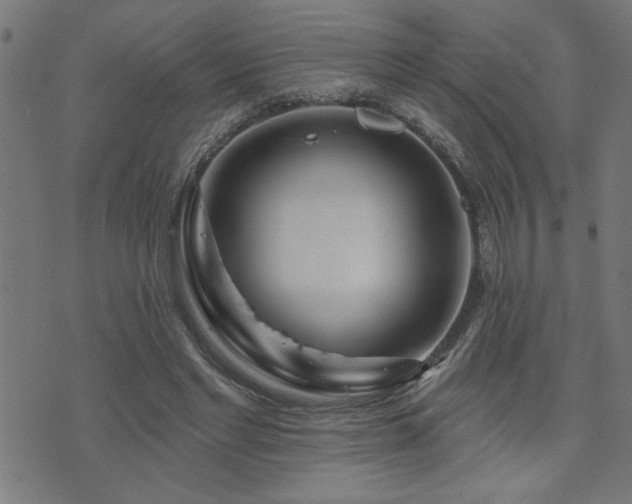 X0000073520493200607311227