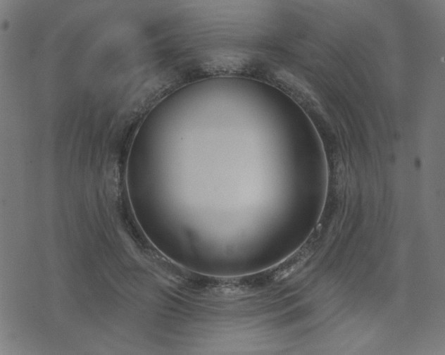 X0000073520498200607311227