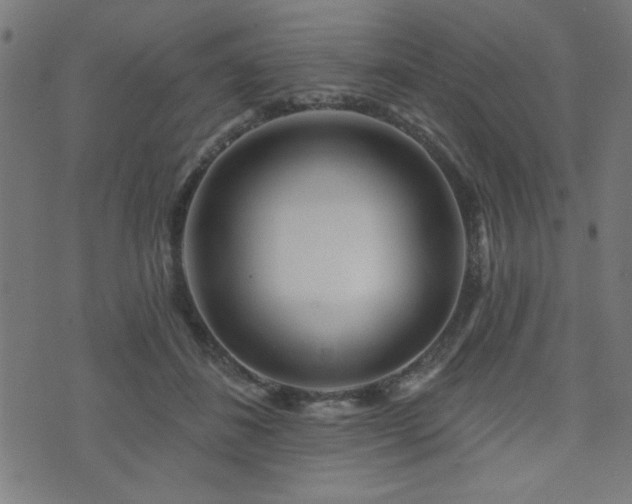 X0000073520508200607311227