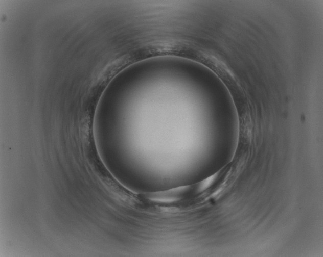X0000073520509200607311227