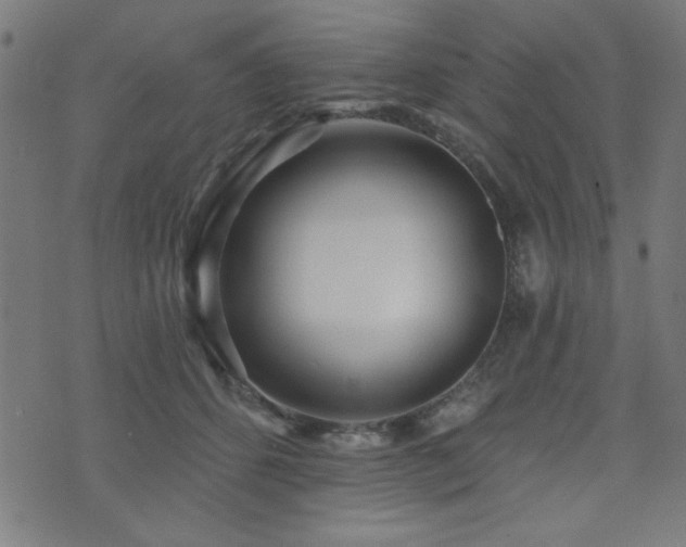 X0000073520512200607311227
