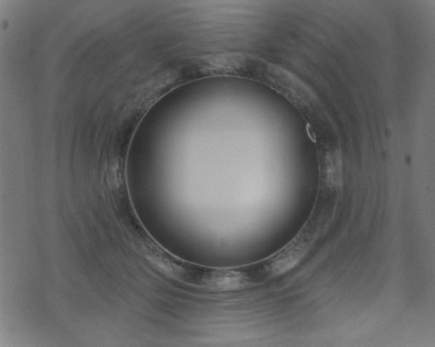 X0000073520514200607311227