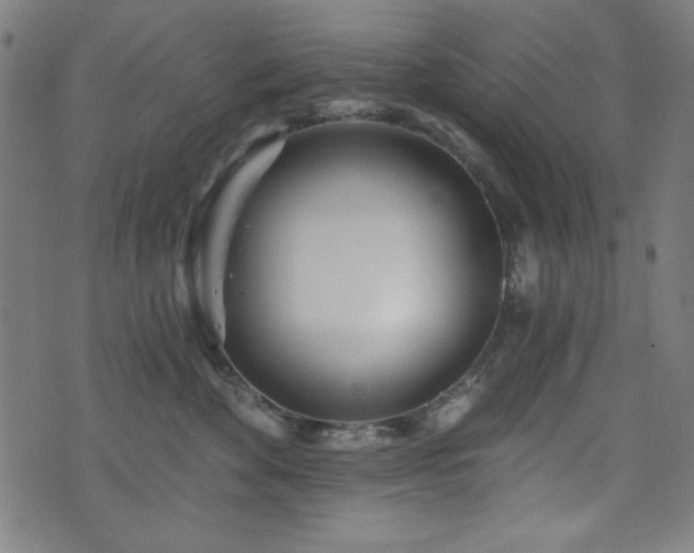 X0000073520524200607311227