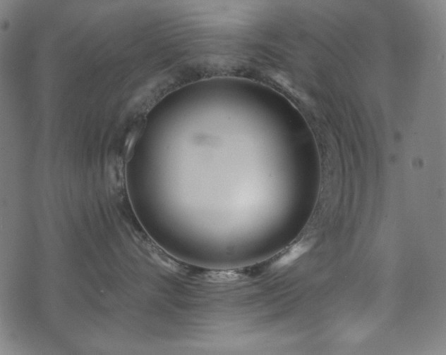 X0000073520528200607311227