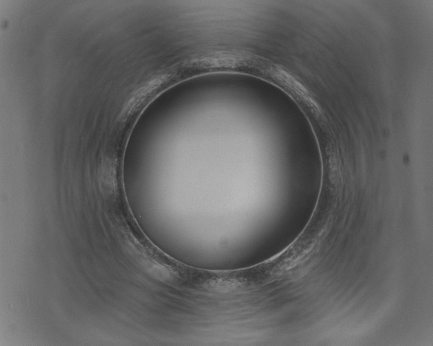 X0000073520537200607311226