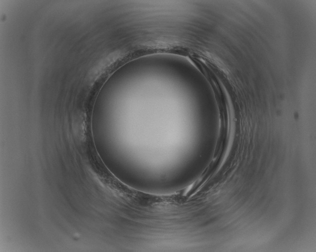 X0000073520544200607311226