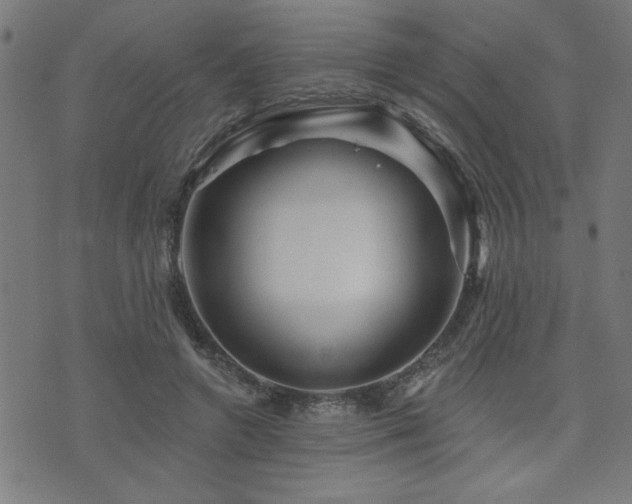 X0000073520546200607311226