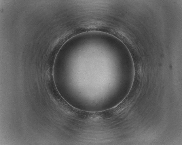 X0000073520547200607311226