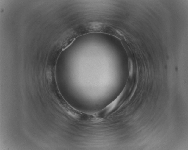X0000073520562200607311227