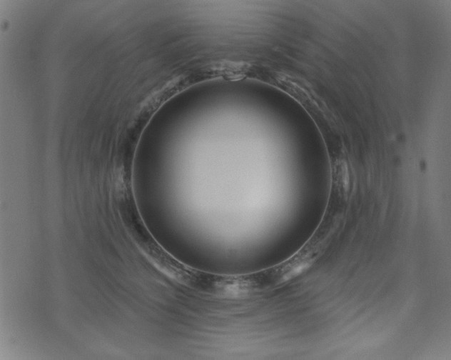X0000073520564200607311227