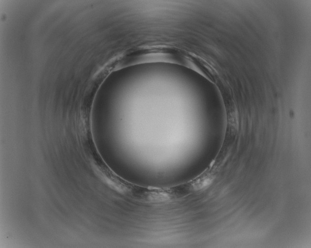X0000073520572200607311227