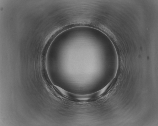 X0000073520580200607311226