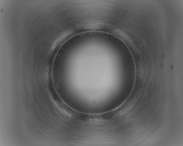 X0000073520586200607311226