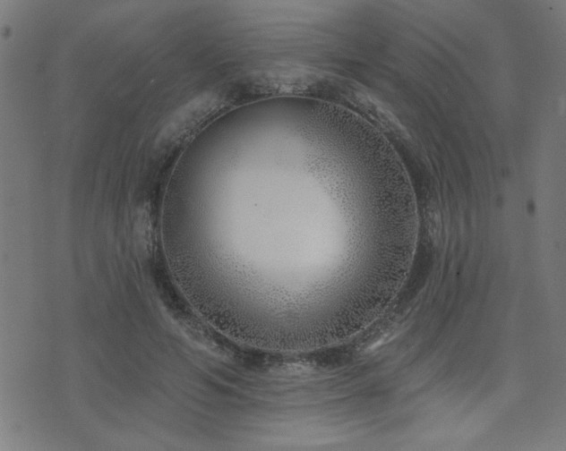 X0000073520594200607311226