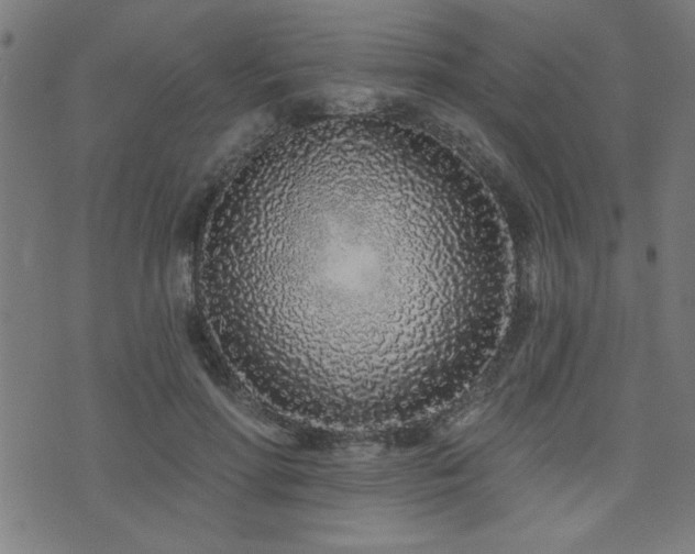 X0000073520598200607311226