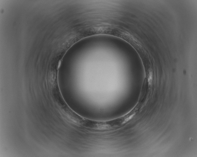 X0000073520605200607311226