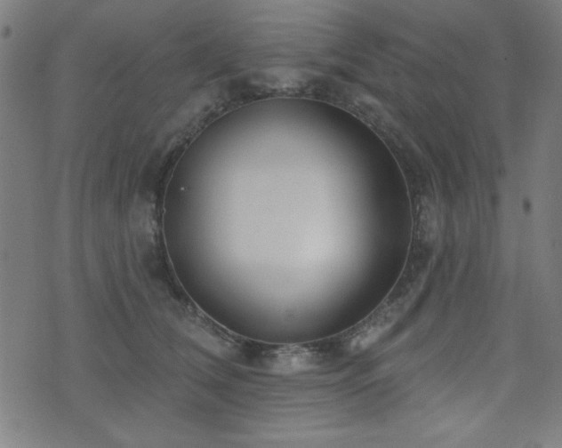 X0000073520612200607311226