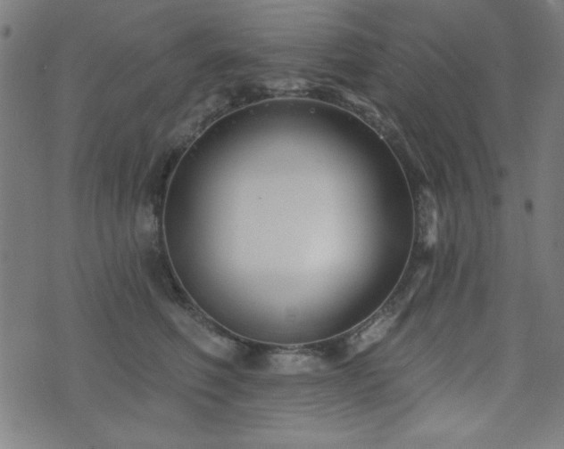X0000073520614200607311226