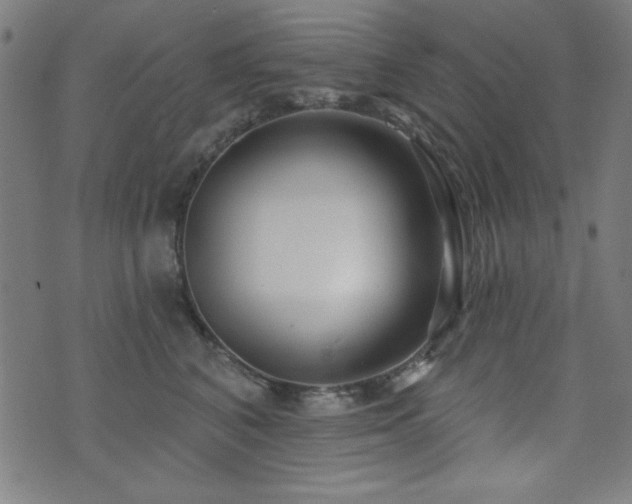 X0000073520616200607311225