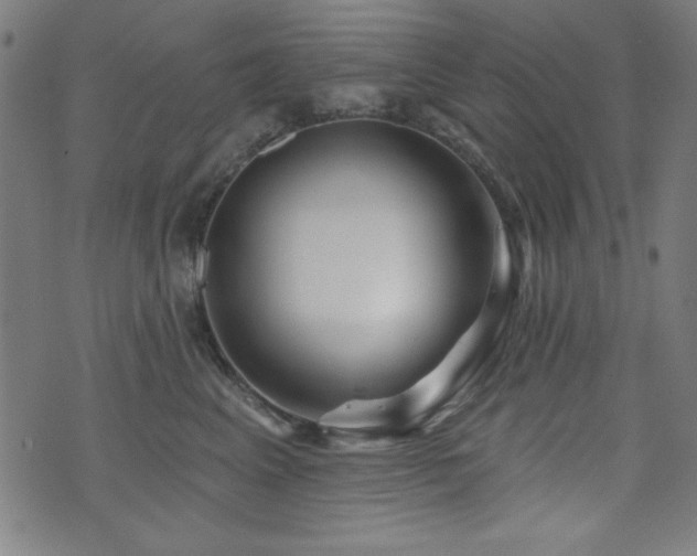 X0000073520617200607311225