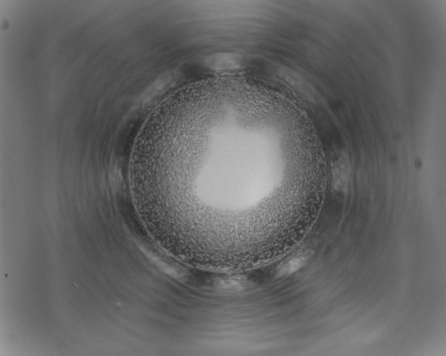 X0000073520618200607311225