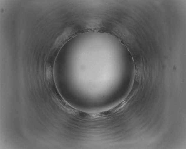 X0000073520623200607311225