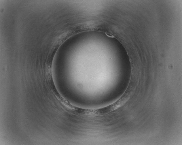 X0000073520624200607311225