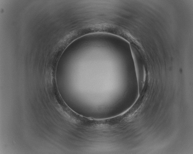 X0000073520637200607311225