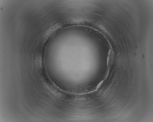 X0000073520640200607311225