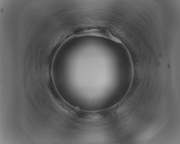 X0000073520642200607311225