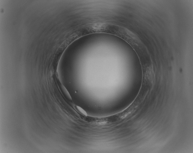X0000073520651200607311225