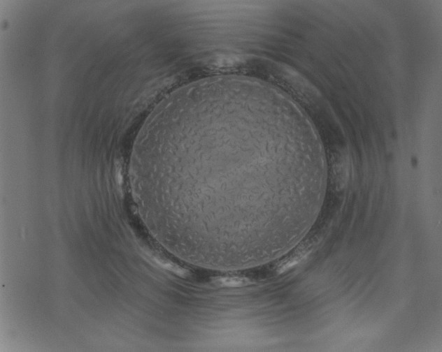 X0000073520654200607311225