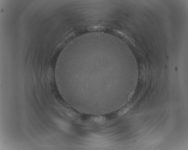 X0000073520659200607311225