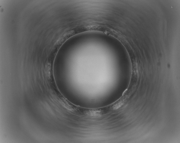 X0000073520664200607311225
