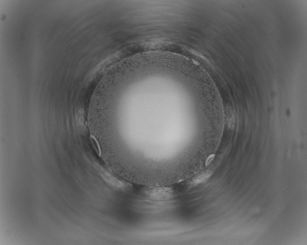 X0000073520670200607311225