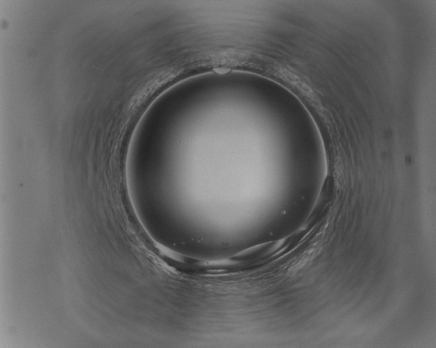 X0000073520673200607311225