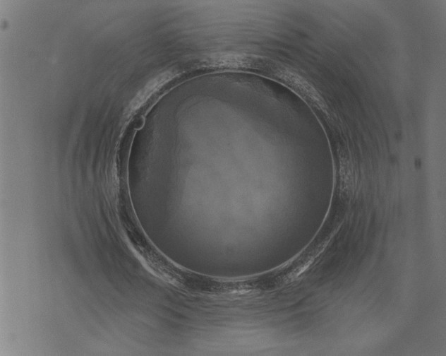 X0000073520674200607311225