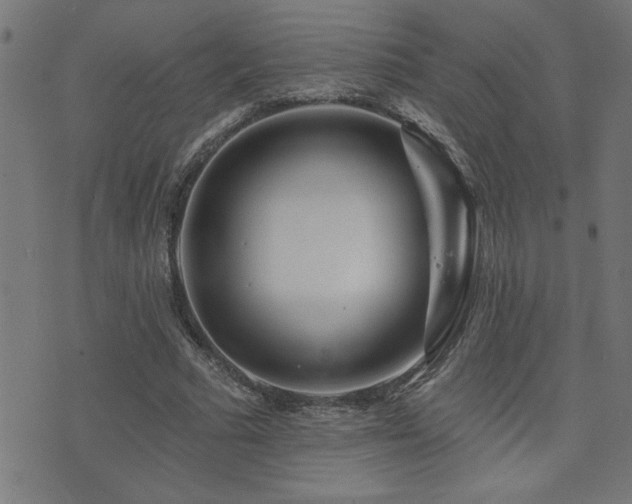 X0000073520681200607311224