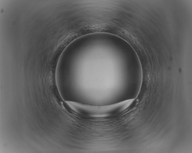 X0000073520689200607311224