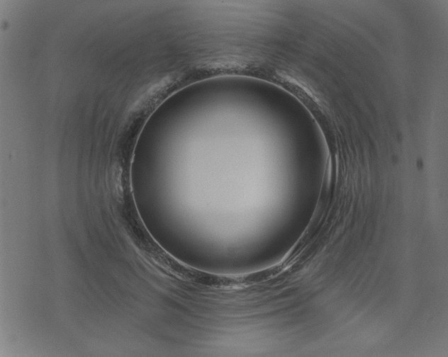 X0000073520692200607311224