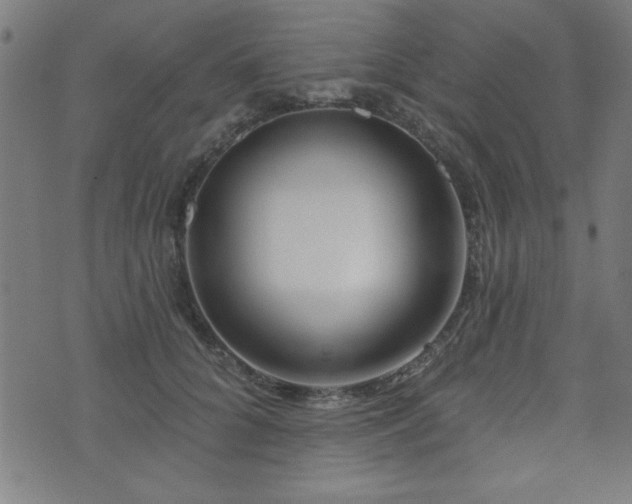 X0000073520704200607311224