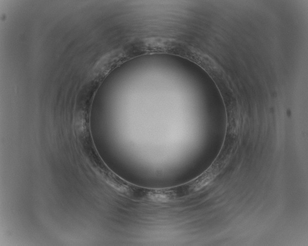 X0000073520706200607311224